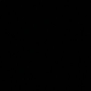 Meet your Posher, Luis